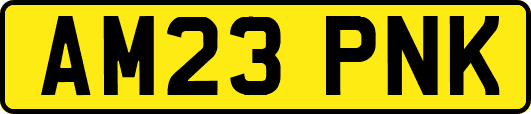 AM23PNK