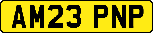 AM23PNP