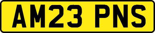 AM23PNS