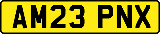 AM23PNX