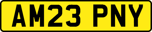 AM23PNY