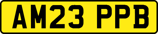 AM23PPB