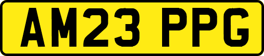 AM23PPG