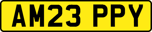 AM23PPY