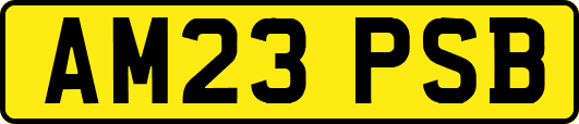 AM23PSB