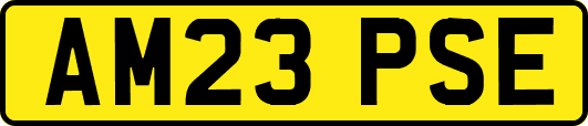 AM23PSE