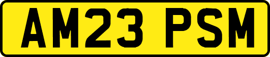 AM23PSM