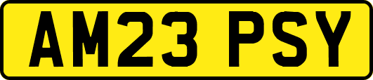 AM23PSY