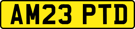 AM23PTD