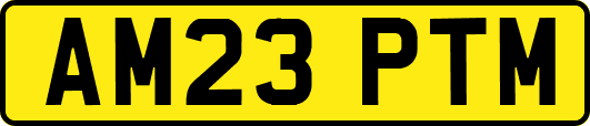 AM23PTM