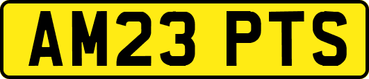 AM23PTS