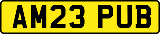 AM23PUB