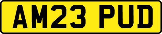 AM23PUD