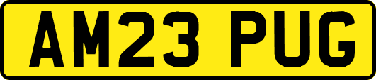 AM23PUG