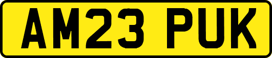 AM23PUK