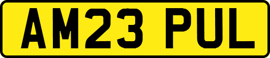 AM23PUL