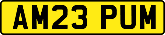 AM23PUM