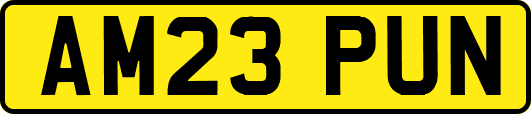 AM23PUN