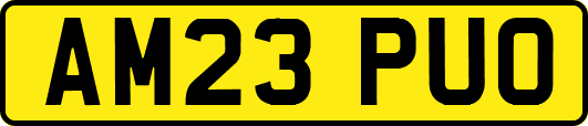 AM23PUO
