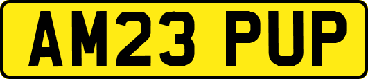 AM23PUP