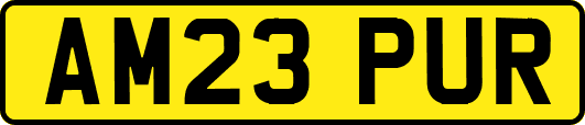 AM23PUR