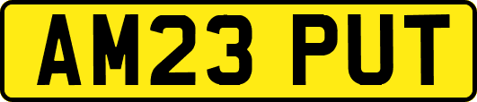 AM23PUT
