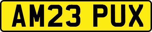 AM23PUX
