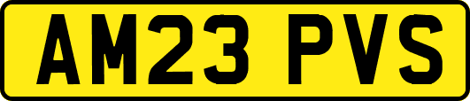 AM23PVS