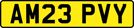 AM23PVY