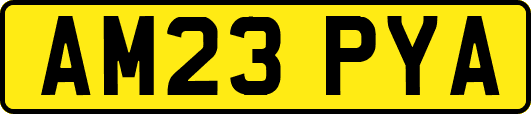 AM23PYA