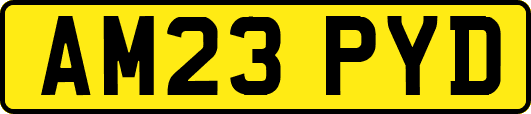 AM23PYD