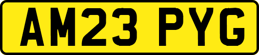 AM23PYG
