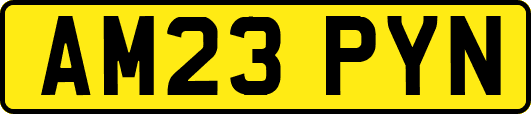 AM23PYN