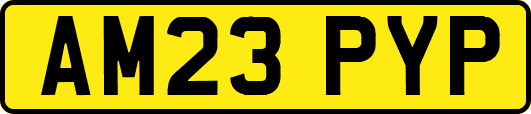 AM23PYP