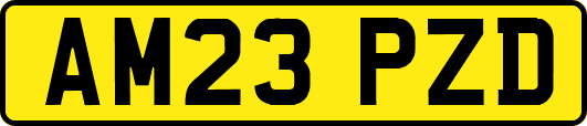 AM23PZD