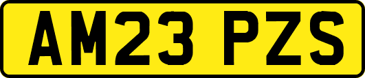 AM23PZS
