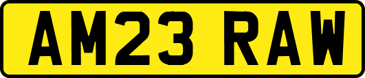 AM23RAW