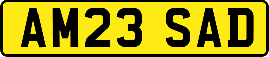AM23SAD