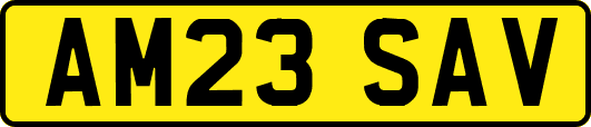 AM23SAV