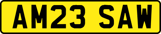 AM23SAW