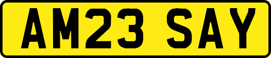 AM23SAY