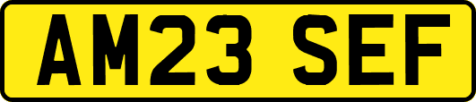 AM23SEF