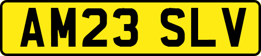 AM23SLV