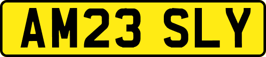 AM23SLY