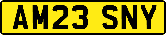 AM23SNY