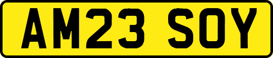 AM23SOY