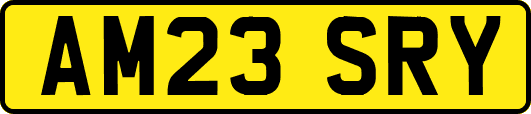 AM23SRY