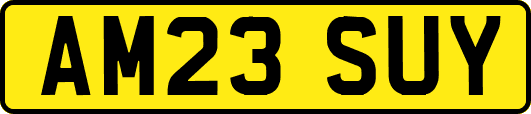 AM23SUY