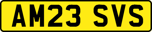 AM23SVS