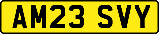 AM23SVY